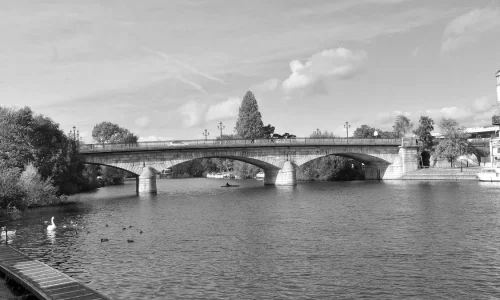 BloomSmith-Case-Study-Staines